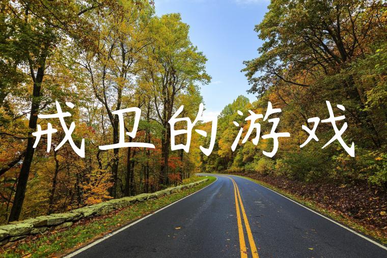 戒卫的游戏