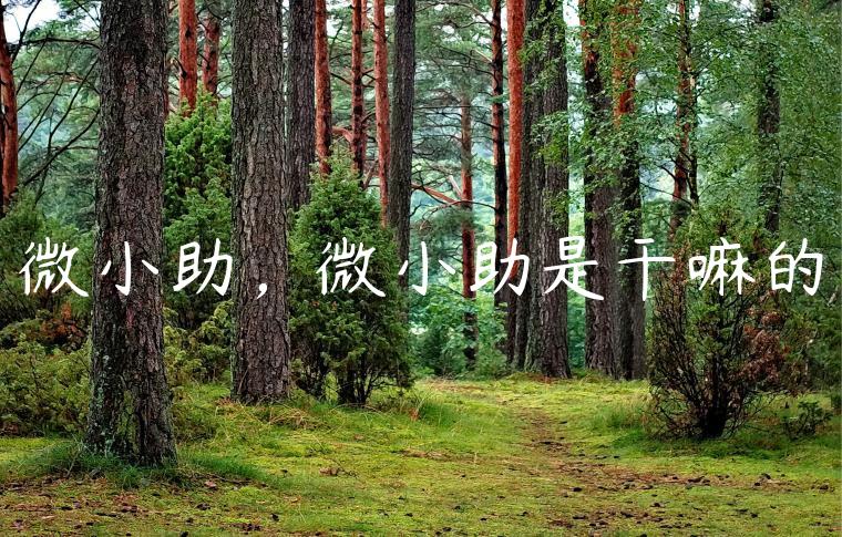 微小助，微小助是干嘛的