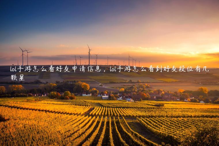 lol手游怎么看好友申请信息，lol手游怎么看到好友段位有几颗星