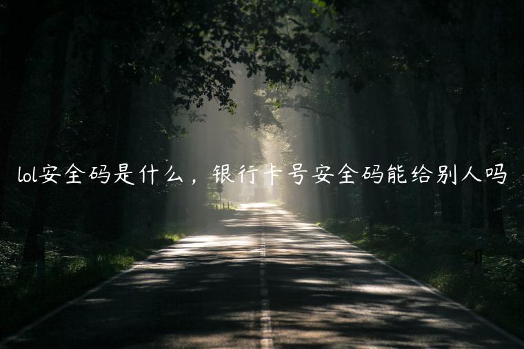 lol安全码是什么，银行卡号安全码能给别人吗