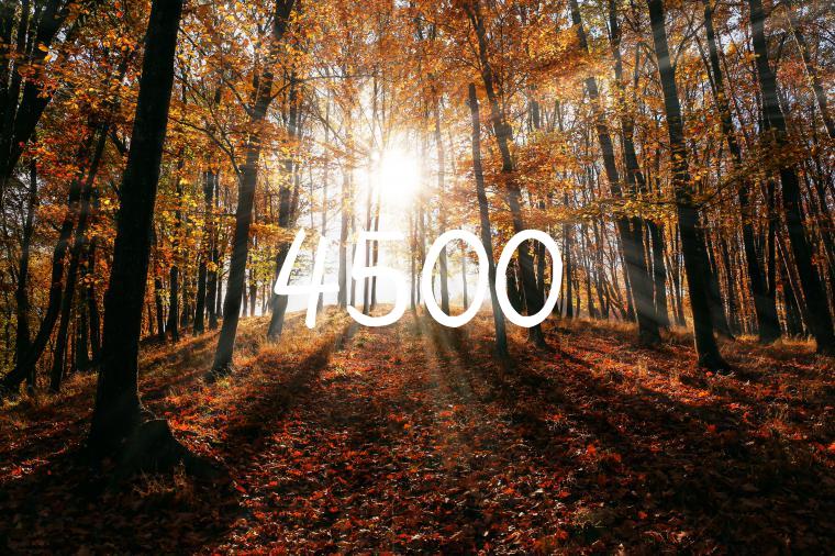 4500