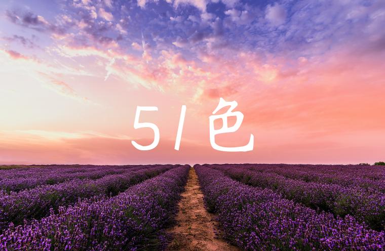 51色