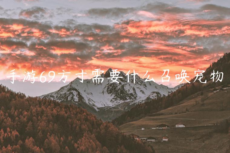 手游69方寸需要什么召唤宠物