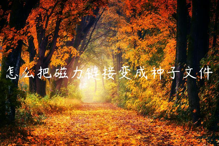 怎么把磁力链接变成种子文件