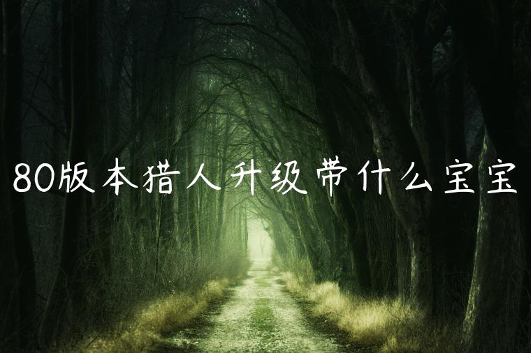 80版本猎人升级带什么宝宝