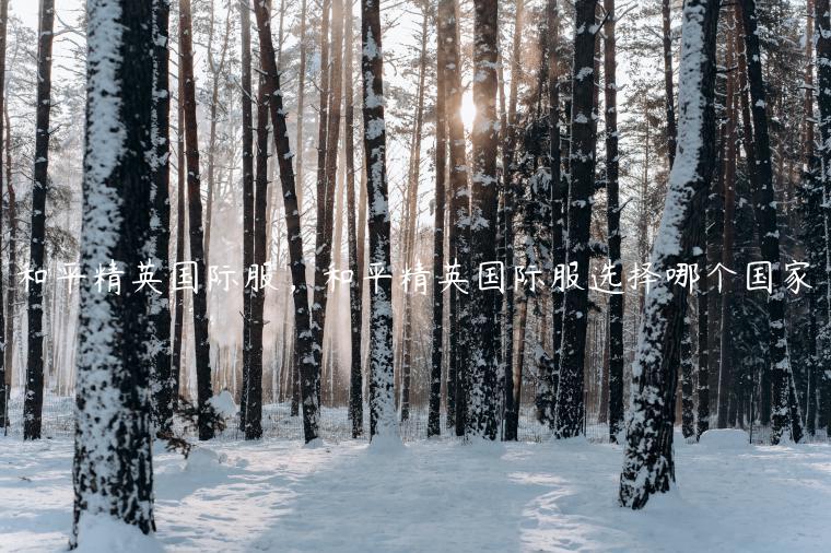 和平精英国际服，和平精英国际服选择哪个国家