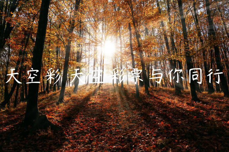 天空彩彯天空彩票与你同行