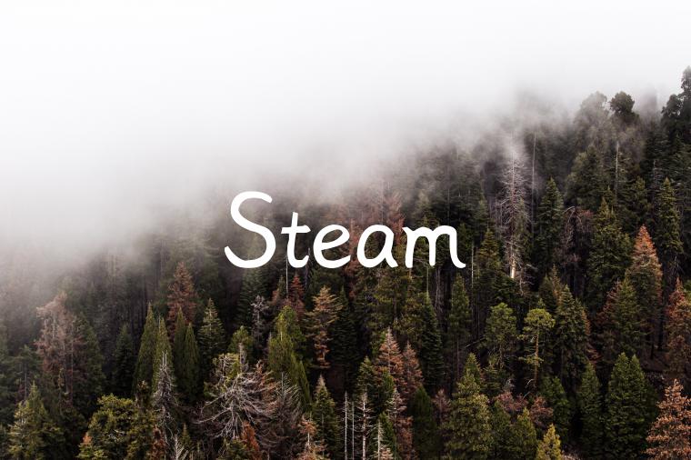 Steam