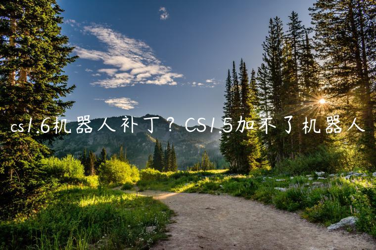 cs1.6机器人补丁？CS1.5加不了机器人