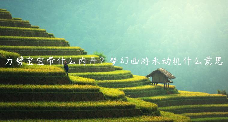 力劈宝宝带什么内丹？梦幻西游永动机什么意思