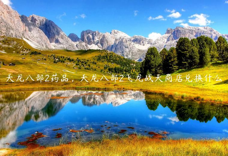 天龙八部2药品，天龙八部2飞龙战天商店兑换什么