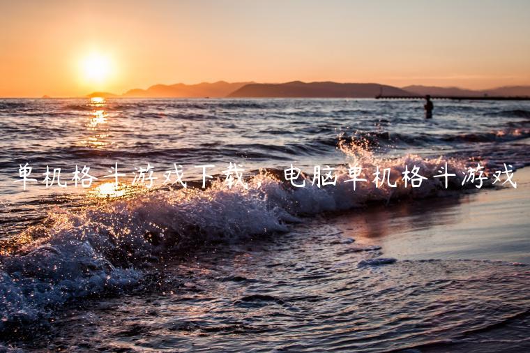 单机格斗游戏下载，电脑单机格斗游戏
