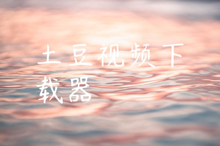 土豆视频下载器