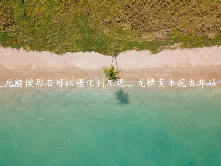 龙鳞楔形石可以强化到几级，龙鳞贡木沉香介绍