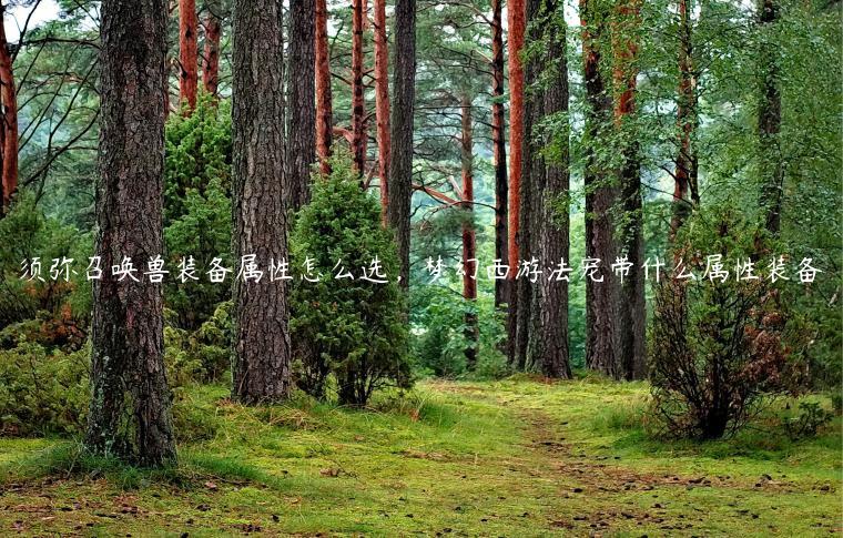 须弥召唤兽装备属性怎么选，梦幻西游法宠带什么属性装备