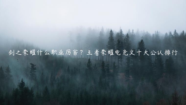剑之荣耀什么职业厉害？王者荣耀电竞文十大公认排行