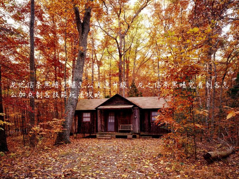 龙之信条黑暗觉醒怎么快速升级，龙之信条黑暗觉者刺客怎么加点刺客技能玩法攻略