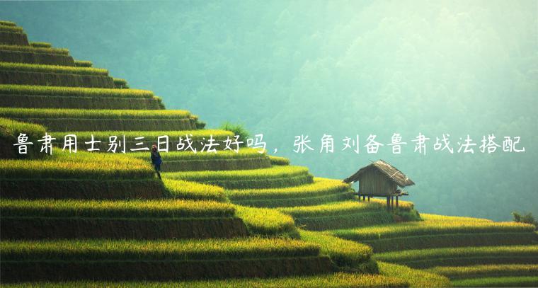 鲁肃用士别三日战法好吗，张角刘备鲁肃战法搭配