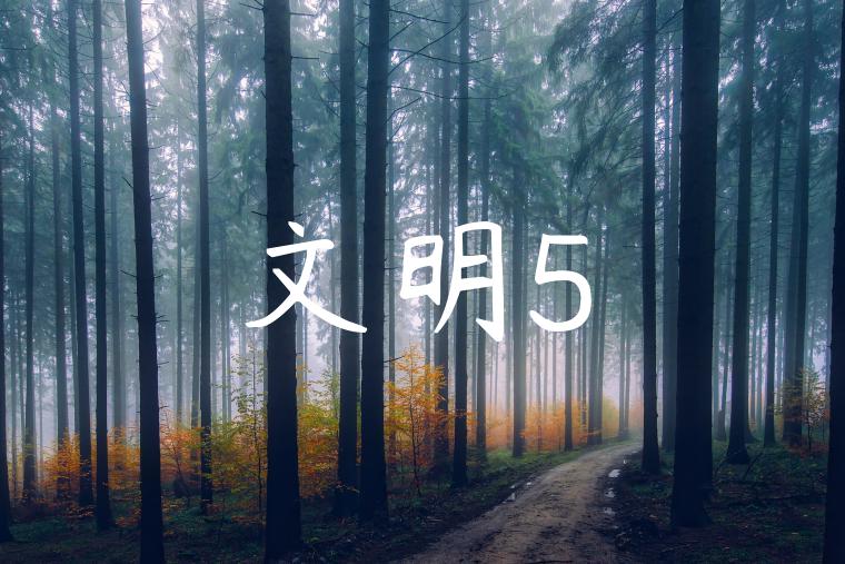 文明5