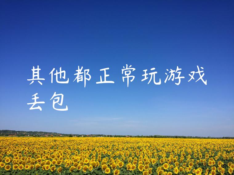 其他都正常玩游戏丢包