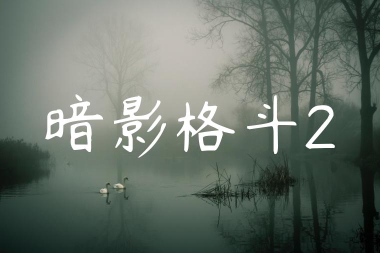 暗影格斗2