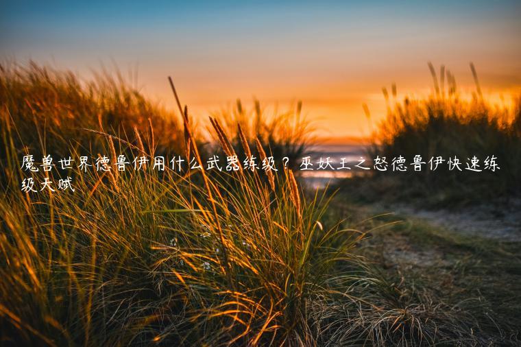 魔兽世界德鲁伊用什么武器练级？巫妖王之怒德鲁伊快速练级天赋
