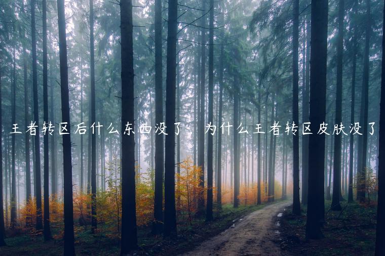 王者转区后什么东西没了，为什么王者转区皮肤没了
