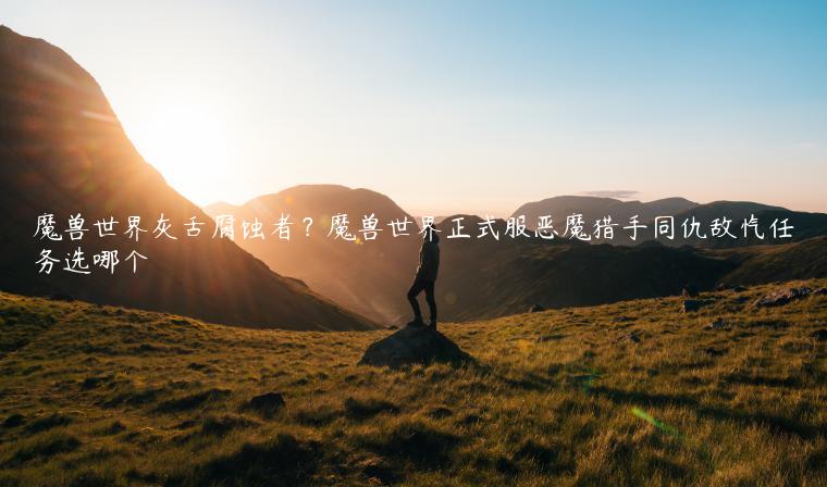 魔兽世界灰舌腐蚀者？魔兽世界正式服恶魔猎手同仇敌忾任务选哪个