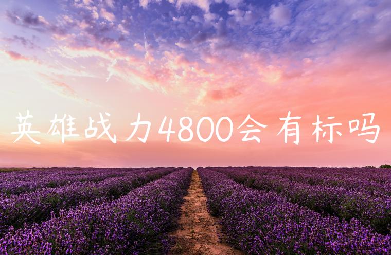 英雄战力4800会有标吗