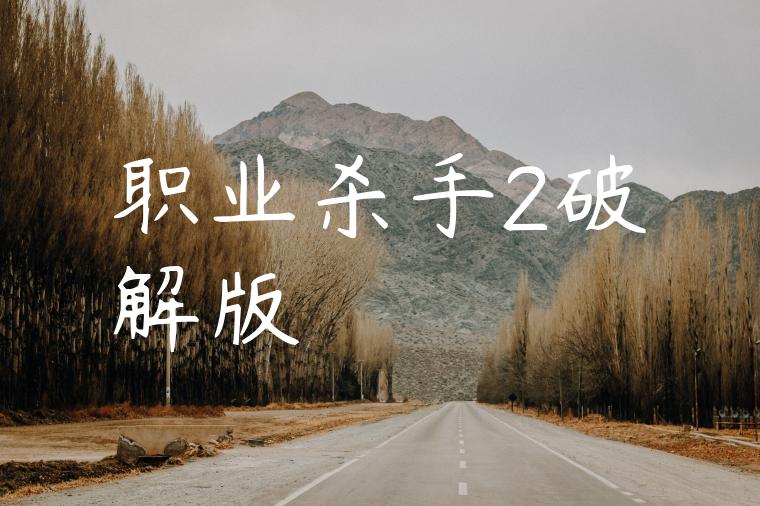 职业杀手2破解版