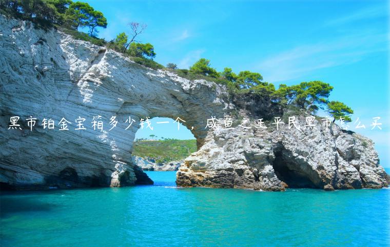 黑市铂金宝箱多少钱一个，咸鱼之王平民黑市怎么买
