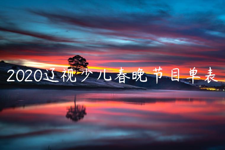 2020辽视少儿春晚节目单表
