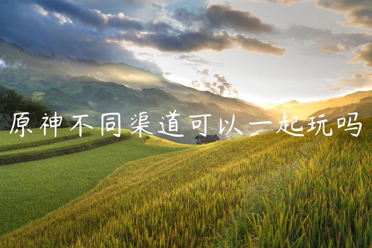 原神不同渠道可以一起玩吗