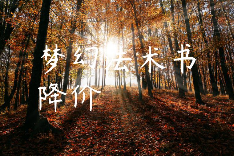 梦幻法术书降价