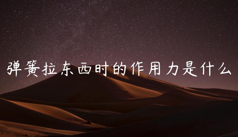 弹簧拉东西时的作用力是什么