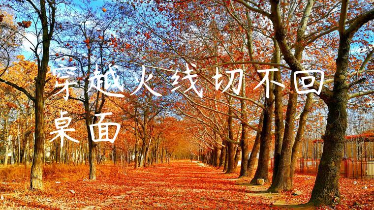 穿越火线切不回桌面