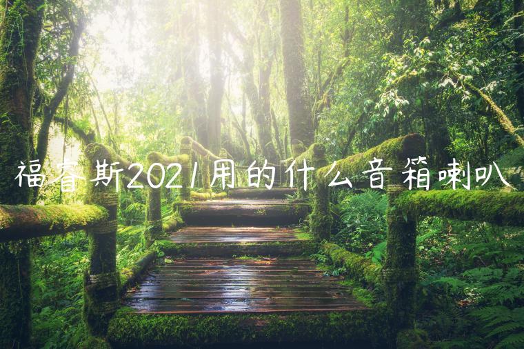 福睿斯2021用的什么音箱喇叭