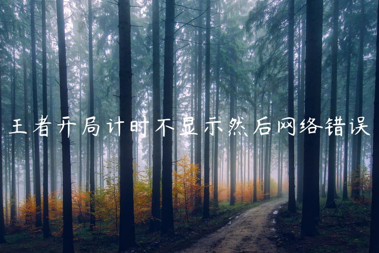 王者开局计时不显示然后网络错误
