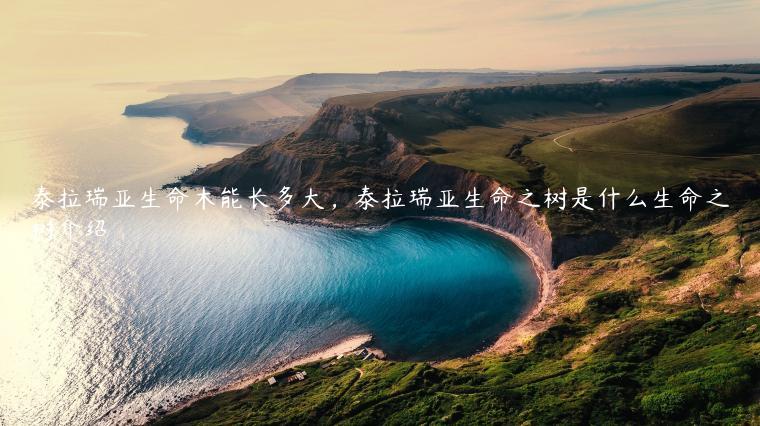 泰拉瑞亚生命木能长多大，泰拉瑞亚生命之树是什么生命之树介绍