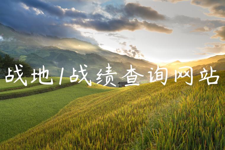 战地1战绩查询网站