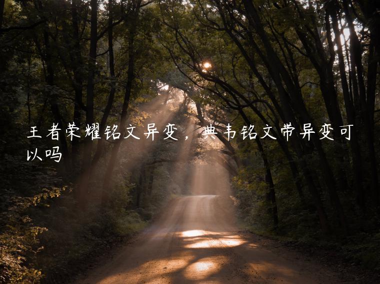 王者荣耀铭文异变，典韦铭文带异变可以吗