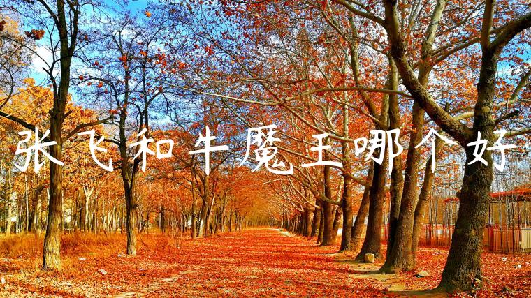 张飞和牛魔王哪个好