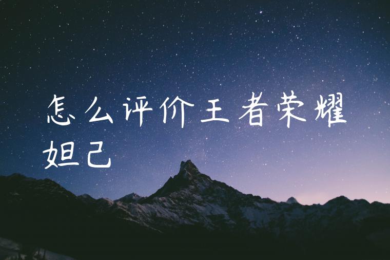 怎么评价王者荣耀妲己
