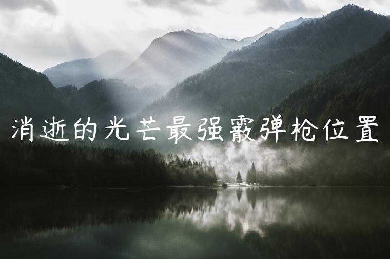 消逝的光芒最强霰弹枪位置