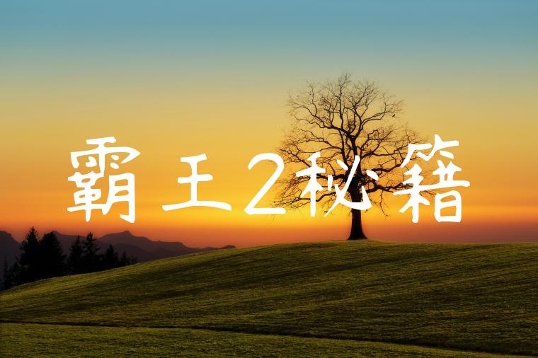 霸王2秘籍
