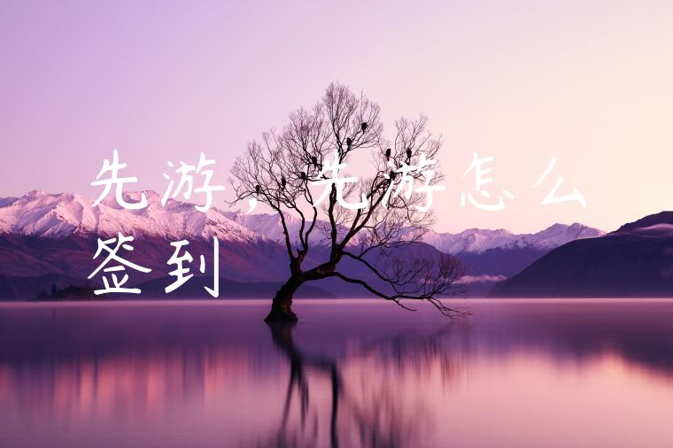 先游，先游怎么签到