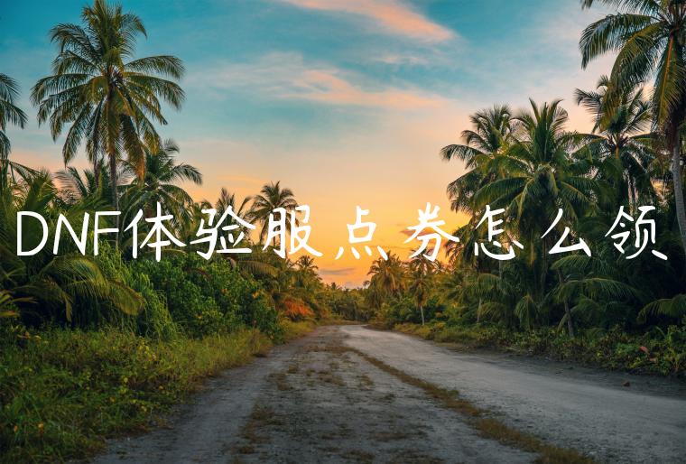 DNF体验服点券怎么领