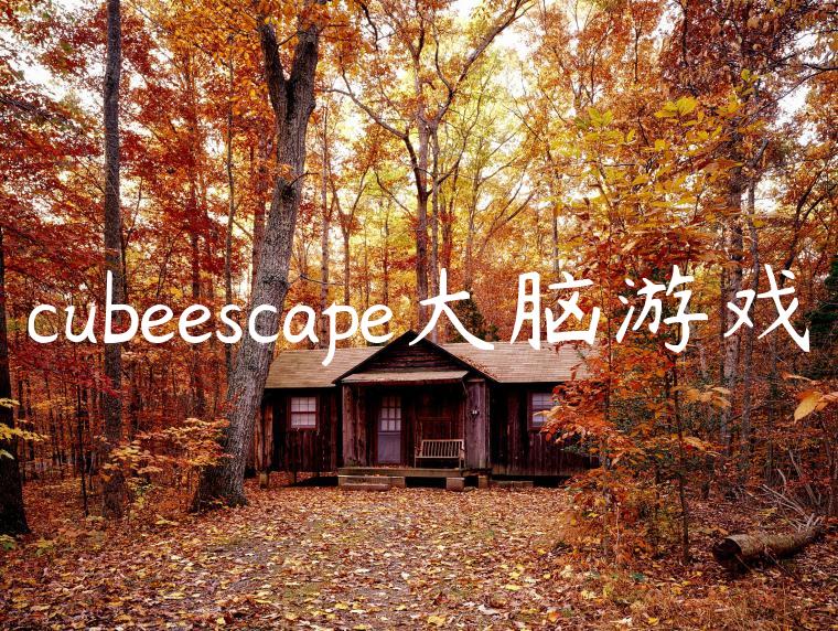 cubeescape大脑游戏