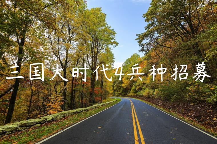 三国大时代4兵种招募
