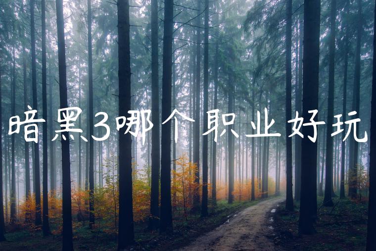 暗黑3哪个职业好玩